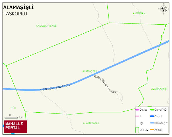 ALAMAŞİŞLİ Köyü Haritası | Detaylı Köy ve Mahalle Görünümü