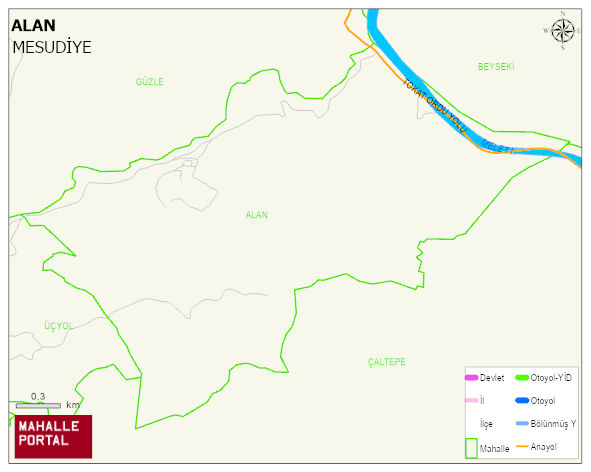ALAN Mahallesi Haritası | Coğrafi Yapı ve Detaylı Haritası