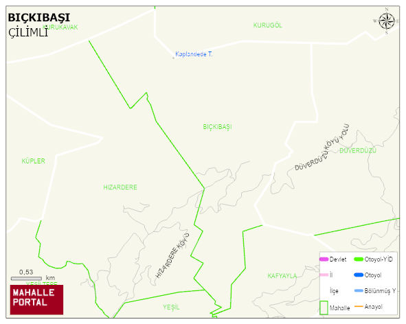 BIÇKIBAŞI Köyü Haritası | Yükselti ve Doğa Özellikleri