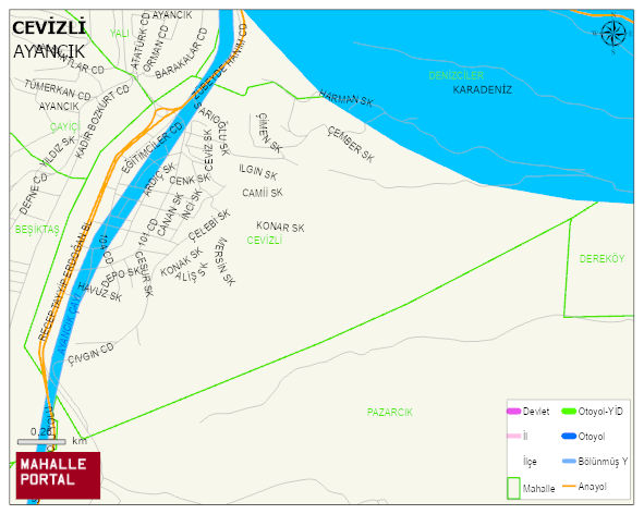 CEVİZLİ Mahallesi Haritası | Dağlar, Ovalar ve Akarsu Bilgileri