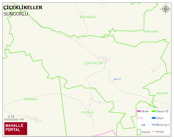 ÇİÇEKLİKELLER Köyü Haritası | Mahalle ve Köy Sınırı