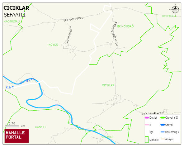 CICIKLAR Köyü Haritası | Dağlar, Ovalar ve Akarsu Bilgileri