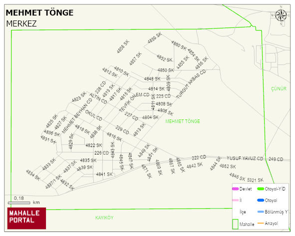 MEHMET TÖNGE Mahallesi Haritası | Yükselti ve Doğa Özellikleri