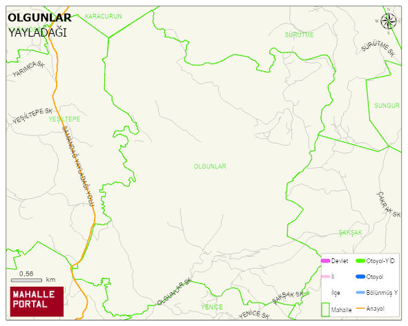 OLGUNLAR Mahallesi Haritası | Detaylı Köy ve Mahalle Görünümü