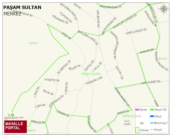 PAŞAM SULTAN Mahallesi Haritası | Yükselti ve Doğa Özellikleri